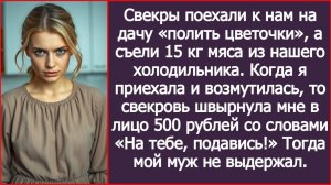 Свекры поехали к нам на дачу и съели 15 кг мяса из нашего холодильника. | ИСТОРИИ ИЗ ЖИЗНИ | СЛУШАТЬ