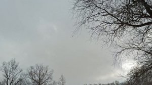 Весна. Обская тропа .НСК