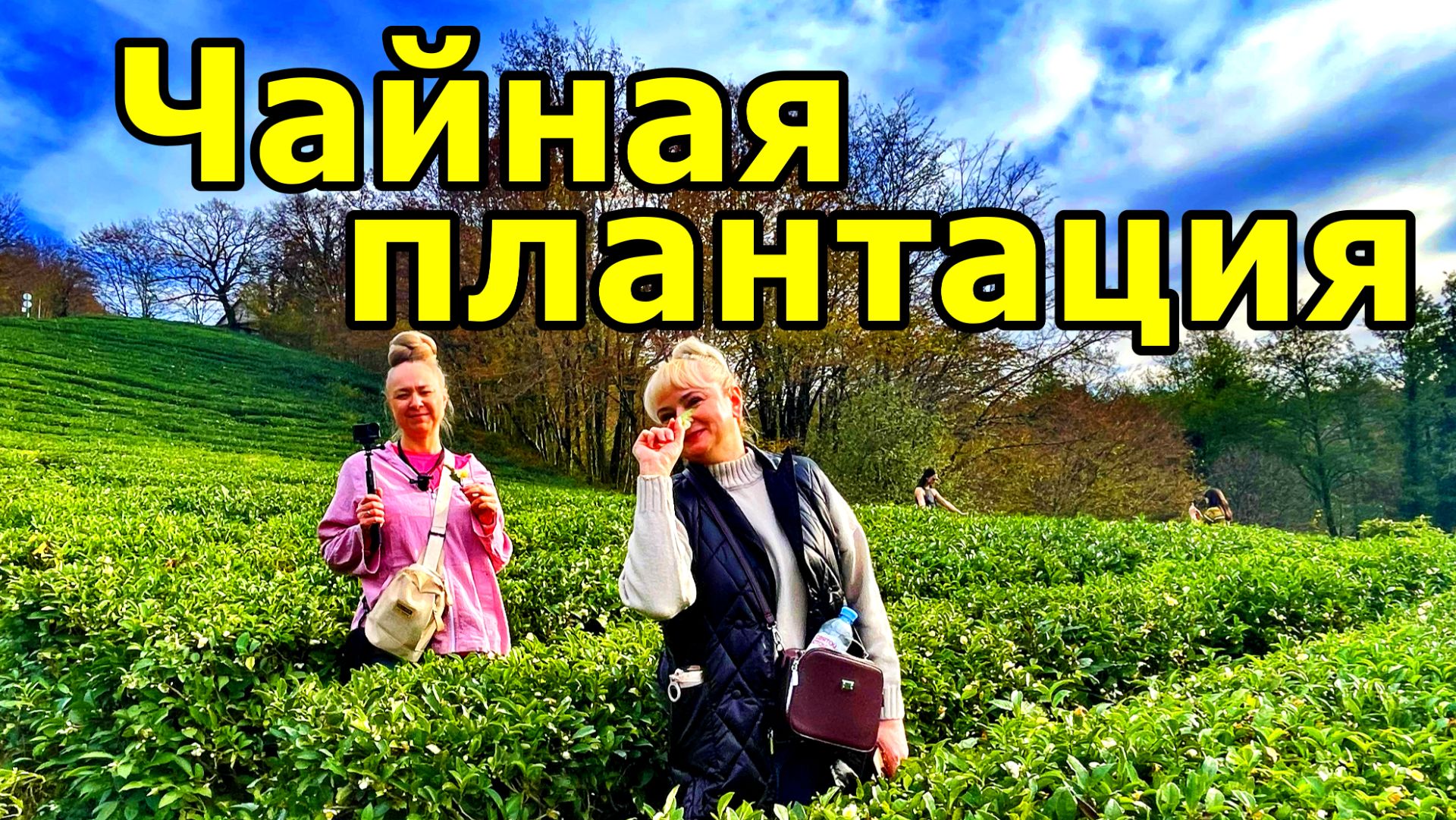 МАЦЕСТА-ЧАЙ. ПЕРВЫМ СТАЛ ВЫРАЩИВАТЬ ЧАЙ В СОЧИ ИУДА АНТОНОВИЧ КОШМАН в 1906 г. 24 НОЯБРЯ 2025. СОЧИ. смотреть онлайн