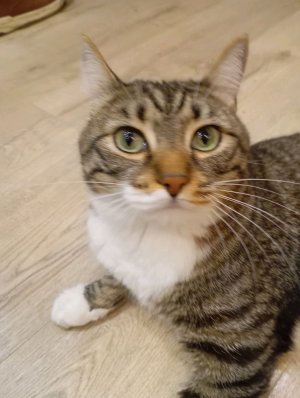 считаю до миллиона часть 2