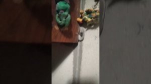 VID_20260320_180252.mp4