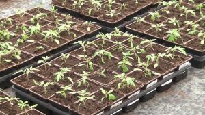 Подготовка к сезону 2026 идет полным ходом