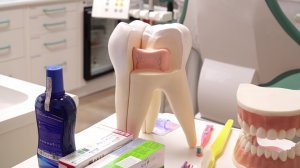 Будущим родителям Югры посоветовали заботится о здоровье зубов детей ещё до их рождения