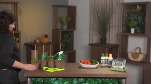 Мой Загородный 236