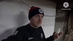 ‼️Искусственное осеменение свиноматки‼️внутриматочным катетером‼️