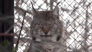 Программа "Главные новости" на 8 канале от 21.03.2026 Часть 2