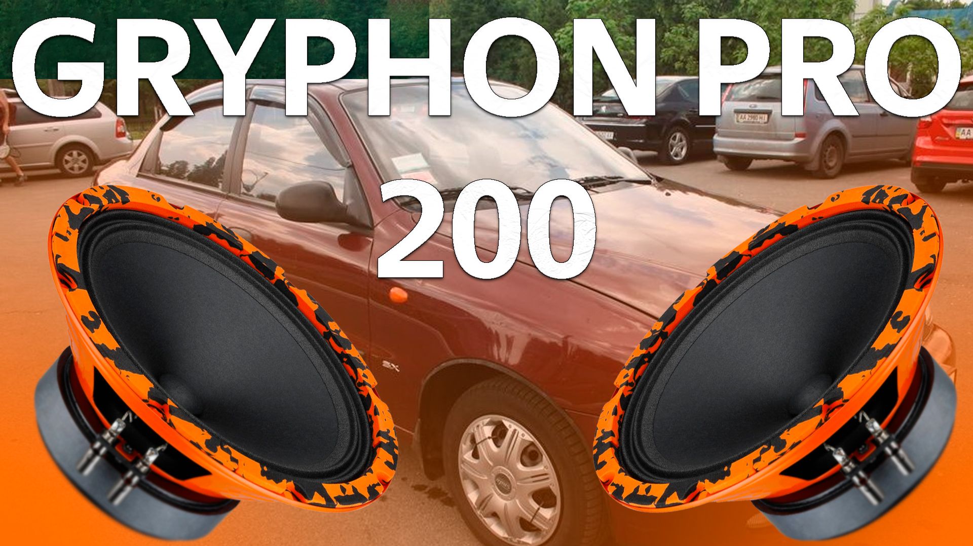 ДВАДЦАТКИ ЗА 3.000 РУБЛЕЙ! | DL Audio Gryphon Pro 200