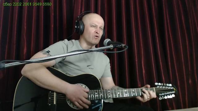 Песни под гитару. стрим №87. Анатолий Топыркин