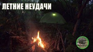 ОДИНОЧНАЯ ночевка, опять НЕУДАЧИ, проверка ФОТОЛОВУШЕК В ЛЕСУ