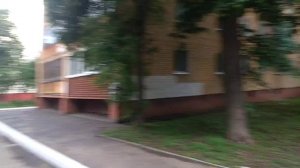 1199 31.05.2021 г Орёл бульвар Победы улица Шаумяна Полесская аллея деревья берёз каштан клён липа