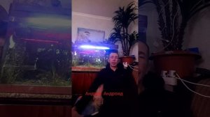 Меня хотел сбить автобус в Мариуполе