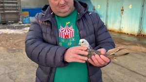 28.03.2026г Сборная на Садоводе!!!