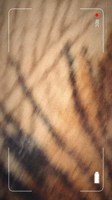 я когда залагал ROBLOX