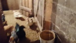 22 октября 2020 г.