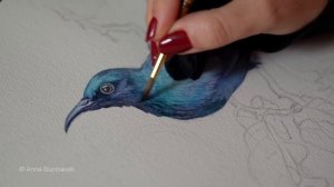 С какого цвета начать? Советы по подмалевке для реалистичной акварели