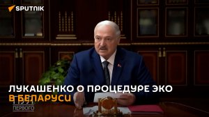Лукашенко: процедура ЭКО становится все более востребованной