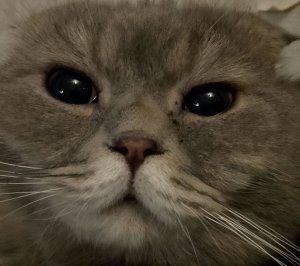 ответы вопросы 😁💋