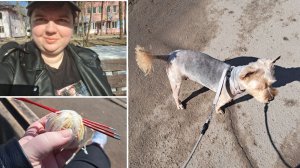 19.03.26 г. Ника на стрижку- я в парке хорошо повязала 💥 хотя и прогнали меня