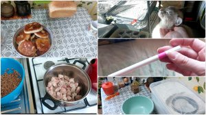 РАННЕЕ УТРО И ХЛЕБ | ЖАРЮ БИЛЯШИ | СХОДИЛА НА СОБРАНИЕ | ПОЗАНИМАЛАСЬ С РАССАДОЙ | ПОКУПКИ С ОЗОН