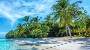 Слушать музыку. Музыка онлайн