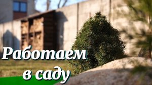 Работаем в саду.  Клумба из поддонов.