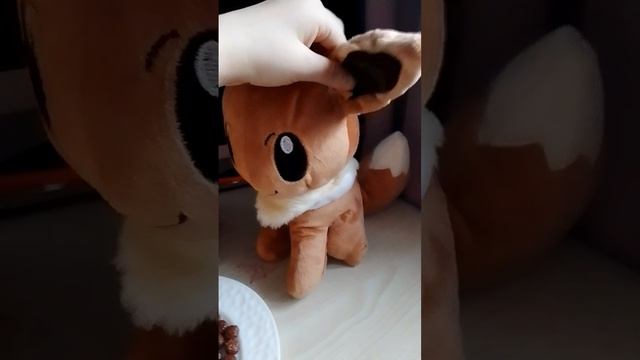 Как проходит день Покемонов