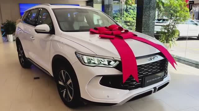 BYD Sealion 5 EV смотреть онлайн
