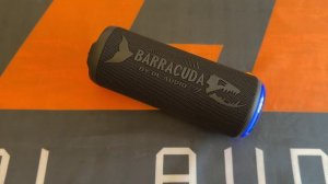 DL Audio Barracuda Portable Speaker (Портативная Bluetooth колонка)