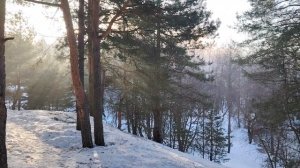 Чувство толпы на работе и не только