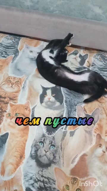 Simplex veritas (простая истина)☝️👍🤫...
#кошки #котики #фразы #жиза #интересно #топ #рек #хочувтоп #