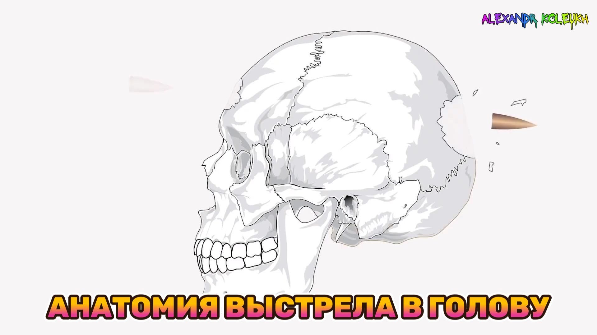 Анатомия выстрела в голову. Полный разбор.