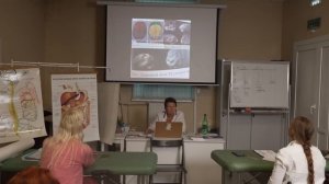 Второй мозг в кишечнике: кто кем управляет?