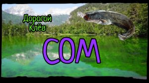 Клёв сома ИЗУМРУДНОМ ОЗЕРЕ игра My Fishing World