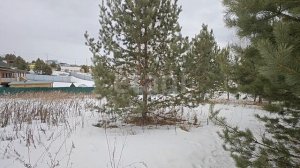 Участок Лопатино