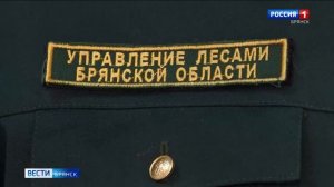 Международный день леса