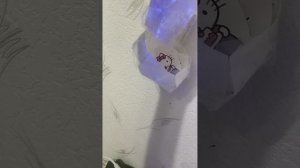 VID_20260320_201203.mp4