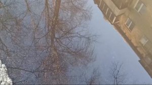 ВЕСЕННЕЕ РАВНОДЕНСТВИЕ стихотворение Оксаны Москаленко, читает автор