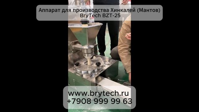 Аппарат для производства Хинкалей (Мантов) BryTech BZT-25