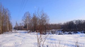 Радоваться ли такой весне? Ранняя весна для пчеловода проблема или благо?