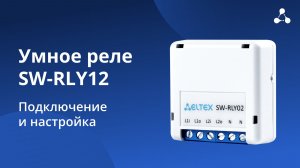 Умное реле SW-RLY12. Видеоинструкция