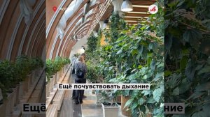 Путеводитель по цветам. Где искать весну в Москве?