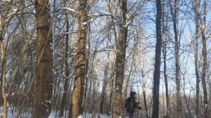 похищенный для леса ЧАСТЬ 27