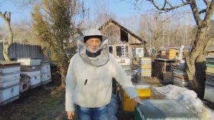 20 марта. ТРИ ПРИЧИНЫ НАРАЩИВАНИЯ ПЧЁЛ ВЕСНОЙ