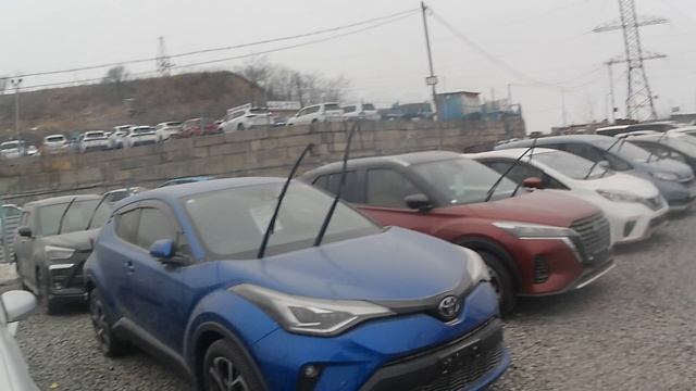 Зеленый угол-что продают на авторынке?Какие цены?