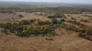 Уникальные участки на берегу реки Воронеж