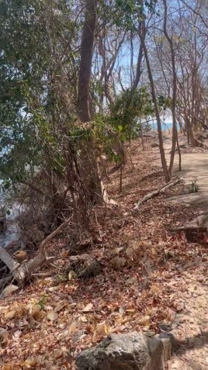 Чудесный тропический остров Самет ч.3