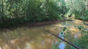 Секретные Места в Лесу. Наконец то Поймал ХАРИУСА. Смотреть до Конца. Реальная Рыбалка в Лесу 2025