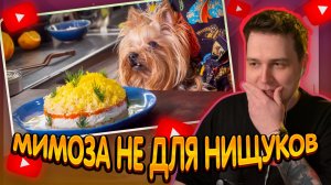 ДЖЕНТЛ ГУСЬ смотрит "Как сделать салат Мимоза еще вкуснее" от ВАСИЛИЯ ЕМЕЛЬЯНЕНКО