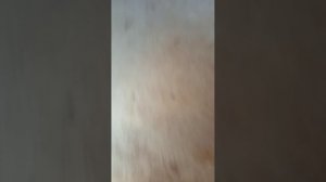 Видео на улице