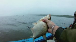 БЫВАЕТ И ТАКОЕ! ЛОВЛЯ ЛЕЩА С ЛОДКИ.верхняя ВОЛГА.